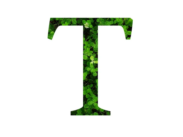 三叶草地绿叶字母T的字母T 用绿色做的 — 图库照片