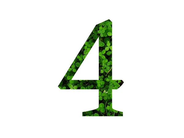 Nummer Des Alphabets Aus Grünem Kleeblatt Hergestellt Mit Der Farbe — Stockfoto