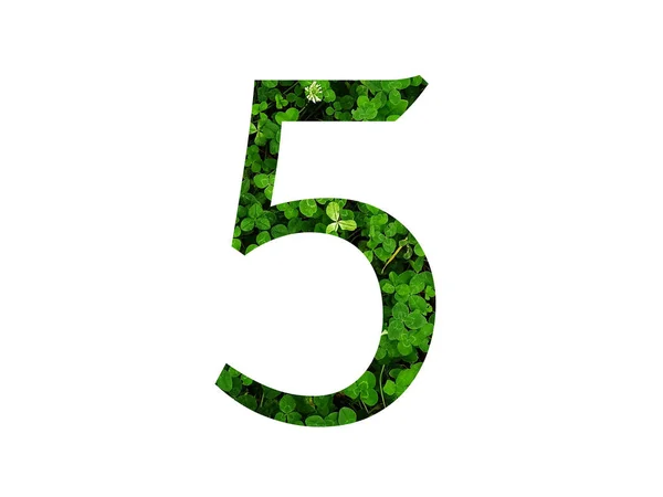クローバーフィールドの緑の葉で作られたアルファベットの数5 緑で作られた — ストック写真