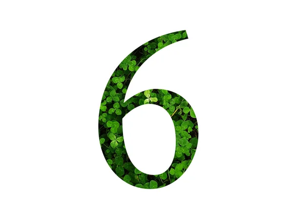 Yonca Tarlasının Yeşil Yaprağıyla Yapılan Alfabenin Numarası Yeşilden Yapılmış — Stok fotoğraf