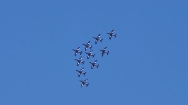 Obrovské vojenské akrobatické týmové letouny v letu v úzké formaci na modré obloze — Stock video