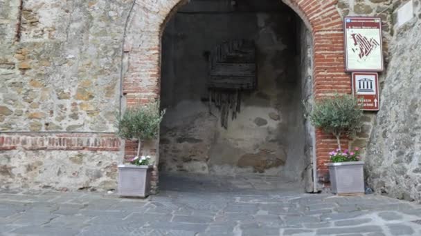 古代の城の壁のアーチ型の石の扉を入力して歩く — ストック動画
