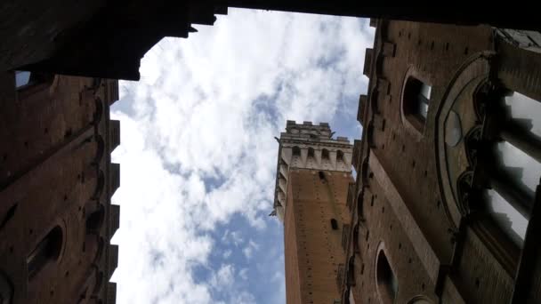 Torre del Mangia w Piazza del Campo w Sienie widok z wnętrza Palazzo Pubblico — Wideo stockowe