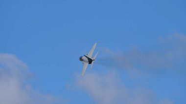 Alenia Aermacchi M-346 Askeri jet eğitmeni ve hafif savaş uçağı