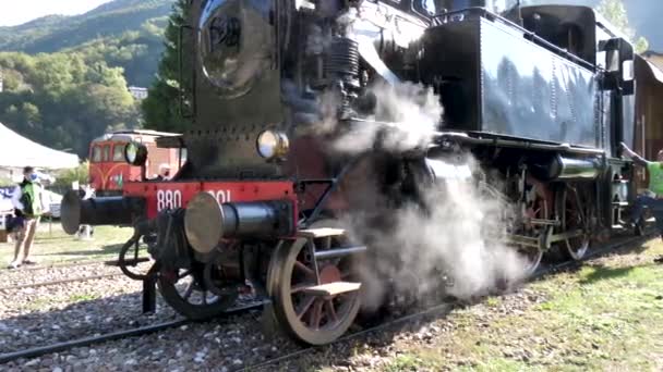 Kmen vlak lokomotiva stojící obklopen lidmi — Stock video