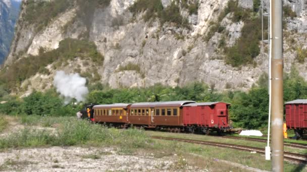 Oude stoomlocomotief trekt drie wagons — Stockvideo