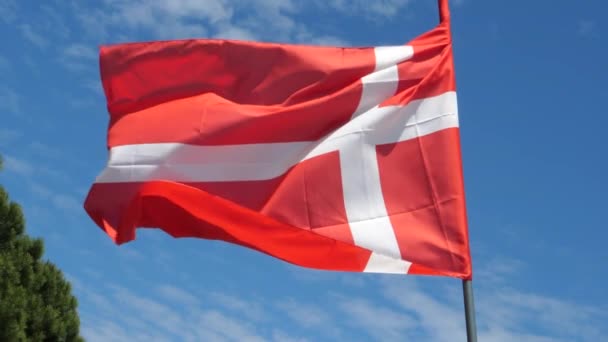 Deense vlag zwaaien in de wind in slow motion close-up met lucht achtergrond — Stockvideo