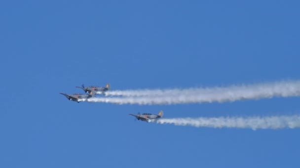 Aerobatic team performs maneuvers in formation showing skill of the pilots — 图库视频影像
