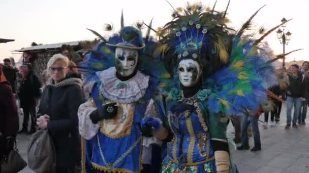 Coppia con maschera veneziana passeggia per le vie di Venezia durante il carnevale — Video Stock