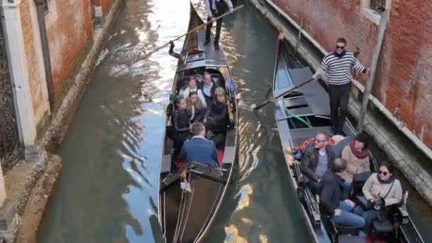 Gondolcular, gondollarla Venedik 'teki dar kanallardan turistleri yavaş yavaş geçiriyorlar. — Stok video