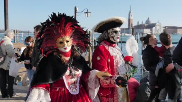 Paar im Karnevalskostüm auf dem Markusplatz für den Karneval in Venedig — Stockvideo