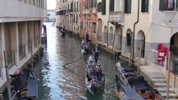 Gondolcular, gondollarla Venedik 'teki dar kanallardan turistleri yavaş yavaş geçiriyorlar. — Stok video
