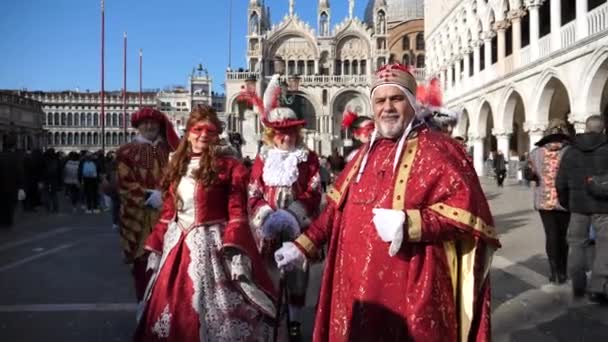 En grupp människor klädda i färgglada venetianska kostymer under Venedig karneval — Stockvideo