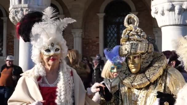 Een bejaard stel in Venetiaanse kostuums die elkaars hand vasthouden in het carnaval van Venetië. — Stockvideo