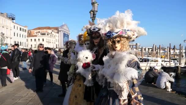 Pareja vestida con coloridos disfraces venecianos en la Plaza de San Marcos durante el Carnaval — Vídeos de Stock