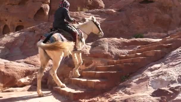 Chica local monta en un caballo blanco sube las escaleras en la antigua ciudad Petra — Vídeos de Stock