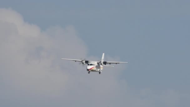 Harbin Y-12 motor duplo turboélice avião utilitário de passageiros fabricados na China — Vídeo de Stock