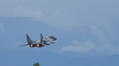 MiG-29 Polonya Hava Kuvvetleri askeri uçağı ve savaş uçağı