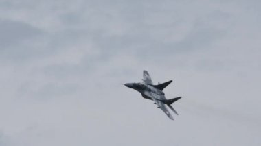 Polonya MiG 29 askeri savaş uçağı havada.
