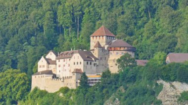 Alps dağlarındaki Vaduz şatosunun Alp ormanlarındaki eski sarayı manzarası