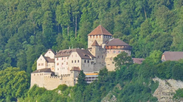 View of Vaduz castle in Alps mountains old palace on Alpine forest background — 비디오