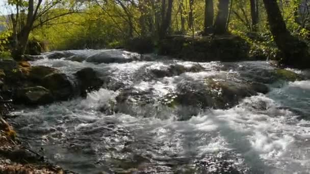 Los arroyos del parque nacional de los lagos de Plitvice en Croacia en un día soleado brillante — Vídeo de stock