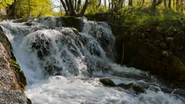 Waterfalls of the Plitvice Lakes National Park one of the oldest national parks — Stok video