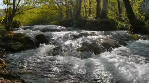 Streams of Plitvice lakes national park in Croatia Europe largest national park — Video