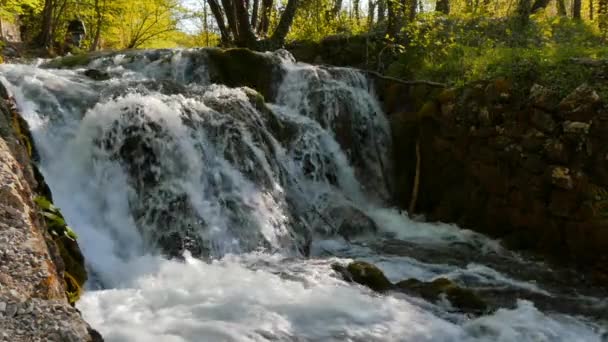 Scenic waterfalls of the Plitvice Lakes National Park in Croatia natural beauty — Video