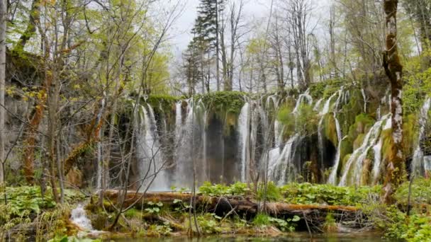 Cascades du parc national des Lacs de Plitvice - L'un des plus anciens parcs nationaux — Video
