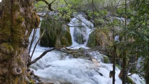 Scenic small cascading waterfalls in Plitvice Lakes National Park Croatia Europe — Video