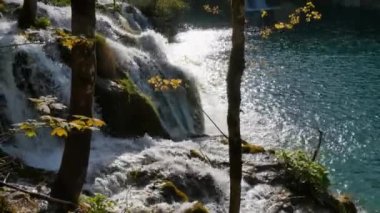 Hırvatistan 'daki Plitvice Gölleri Ulusal Parkı' nın aşağı gölleri kanyonu Plitvicka Jezera