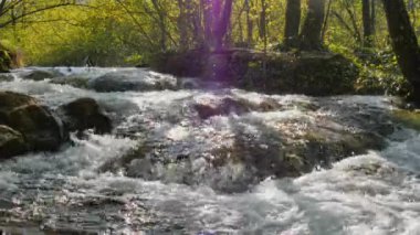Sel akıntıları, Plitvice Gölü Ulusal Parkı 'nın aşağısında şelaleler oluşturur.