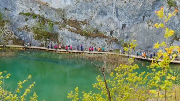 Turyści spacerują drewnianą ścieżką pomiędzy jeziorami Park Narodowy Jezior Plitwickich — Wideo stockowe