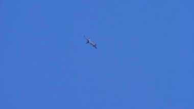 Thiene İtalya OKTOBER, 17, 2021 Aerobatik uçak kendi beyaz dumanına daldırılmış olarak düştü. Kontrolden çıkan bir uçağın dramatik bir sahnesi. Eğitimli bir pilotla çarpışma konsepti. Sukhoi Su-31.