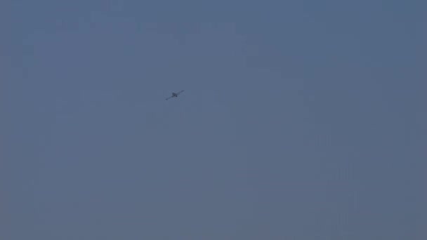 Padua Italien Juni 2022 Kleine Militärflugzeuge Flug Blauen Himmel Soko — Stockvideo