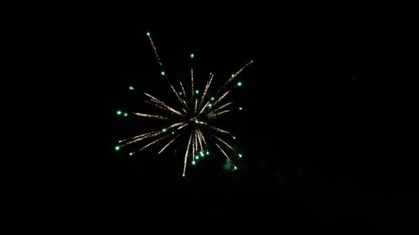 Vicenza Italy September 2022 Sequence Fireworks Black Sky Recognizable Place — Stock Video