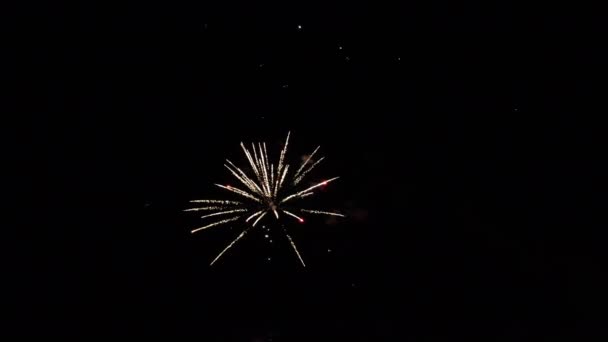Vicenza Italien September 2022 Feuerwerk Dunkelschwarzer Sommernacht — Stockvideo