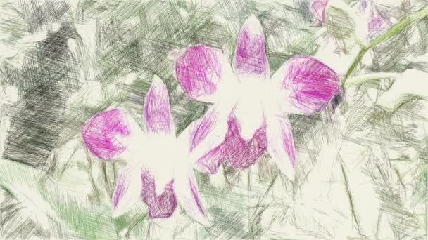 művészet rajz színe orchidea virág