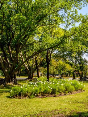 Tayland 'ın güzel bahçesi