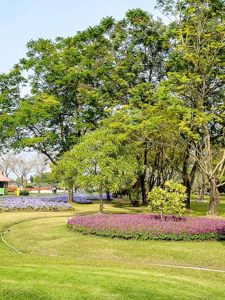 Tayland Güzel Bahçesi — Stok fotoğraf
