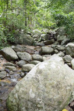 Bang Phra, Sriracha, Chonburi, Tayland 'daki Chanta Şelalesi' nde küçük bir dere..