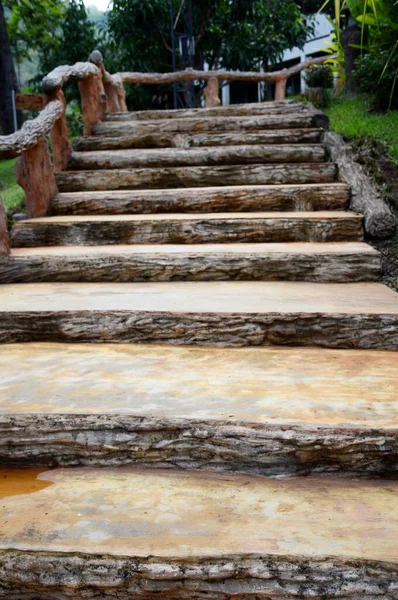 Escalera Jardín Natural País Chiang Mai Tailandia — Foto de Stock