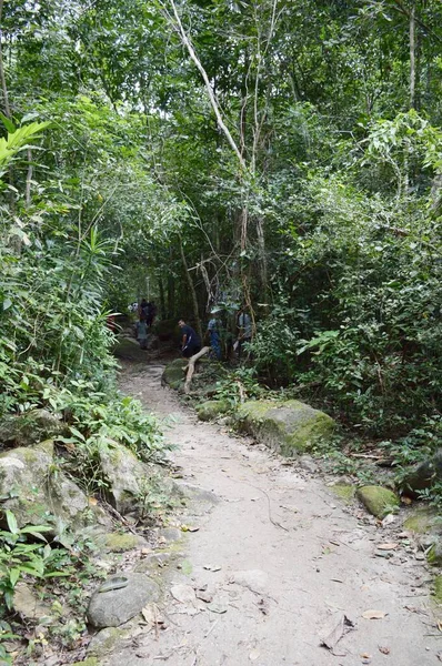 Jalan Alam Khao Chamao Rayong Thailand — Stok Foto