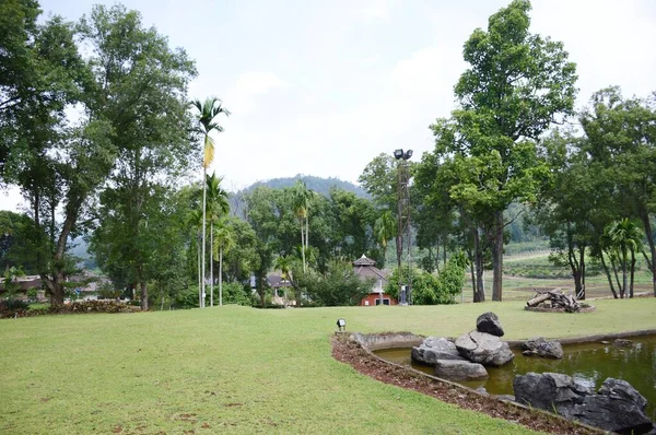 Jardim Natural Chiang Mai Tailândia — Fotografia de Stock