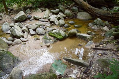 Bang Phra 'da Chanta Şelalesi, Sriracha, Chonburi, Tayland.