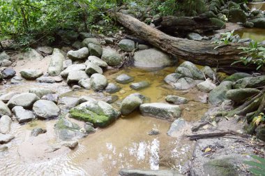 Bang Phra 'da Chanta Şelalesi, Sriracha, Chonburi, Tayland.