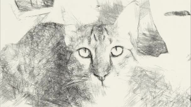 művészet rajz fekete-fehér aranyos macska