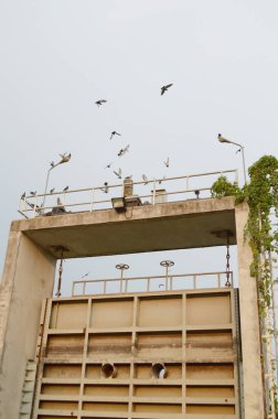 Chachoengsao Tayland 'daki baraj.