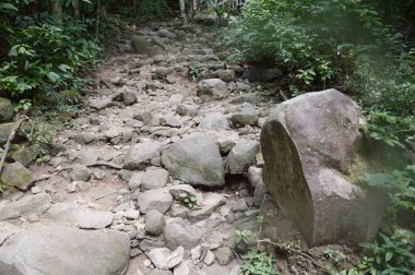 Khao Chamao 'da yürüyüş yolu, Rayong, Tayland